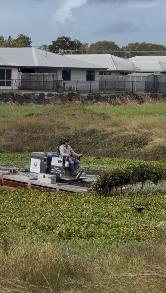 Mackay Aquatic Weed Removal harvester clearing weed from a waterway